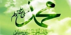 اين ولد الرسول صلى الله عليه وسلم