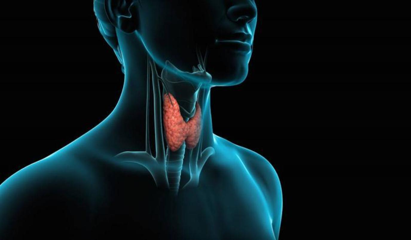 كيفية علاج خمول الغده الدرقيه بالأغذية بطرق طبيعية سريعة المفعول