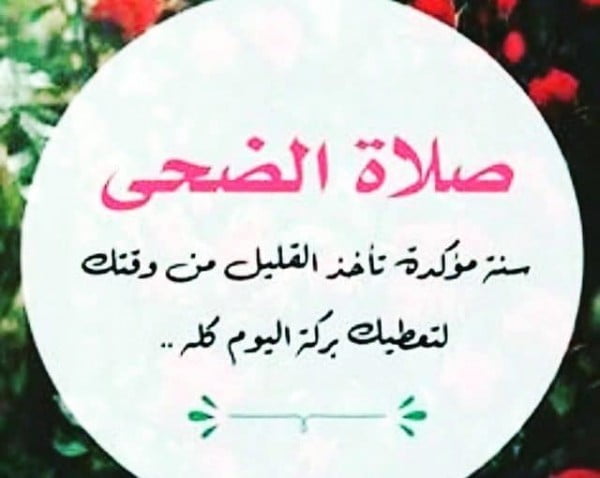 صلاة الضحى كم ركعه