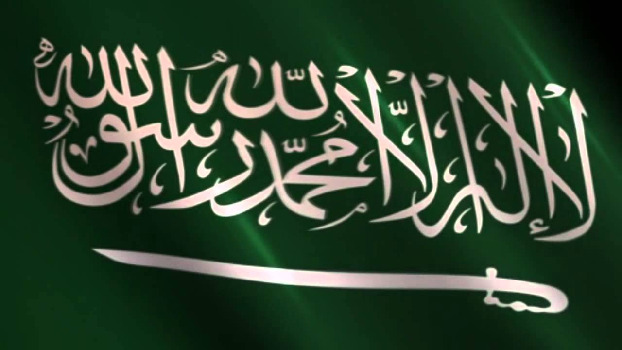 تنشر الانظمه السعوديه في