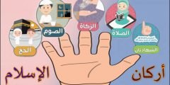 كم عدد اركان الإسلام  وما هي بالترتيب