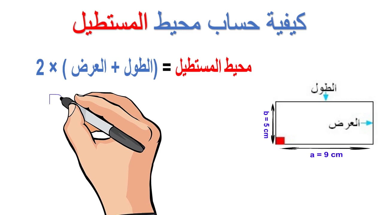 قانون محيط المستطيل ومساحته