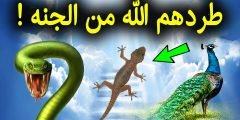 لماذا طرد الله الطاووس والثعبان من الجنة