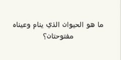 ما هو الحيوان الذي ينام وعيناه مفتوحتان