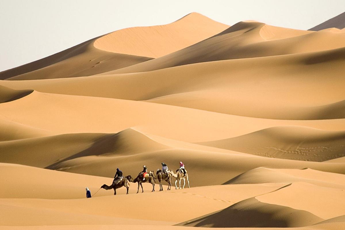 الجبري وش يرجع ... اصل عائلة الجبري من وين