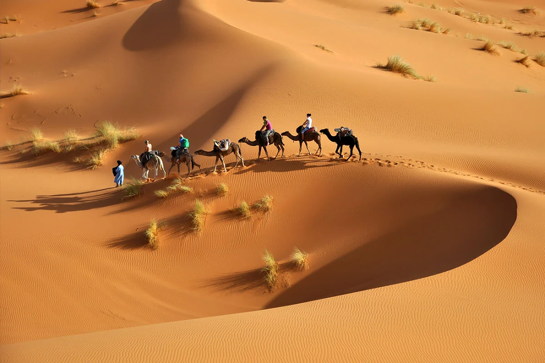 الجحادر وش يرجع .. اصل قبيلة الجحادر من اي