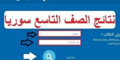 www.moed.gov.sy النتائج الامتحانية