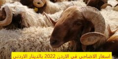 اسعار الاضاحي في الاردن 2022 بالدينار الاردني