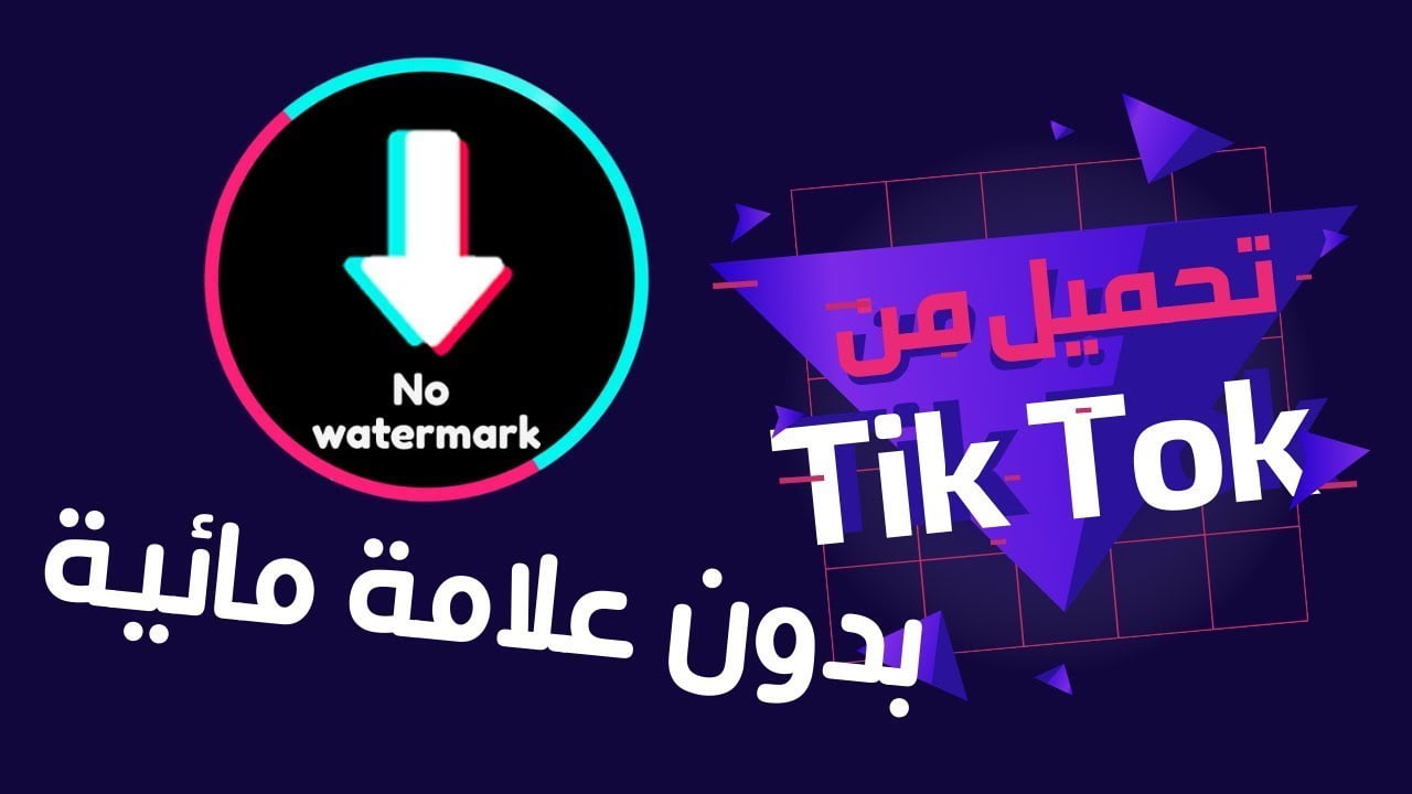 تنزيل فيديو تيك توك بدون علامة مائية apk