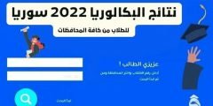 نتائج البكالوريا 2022 حسب الرقم