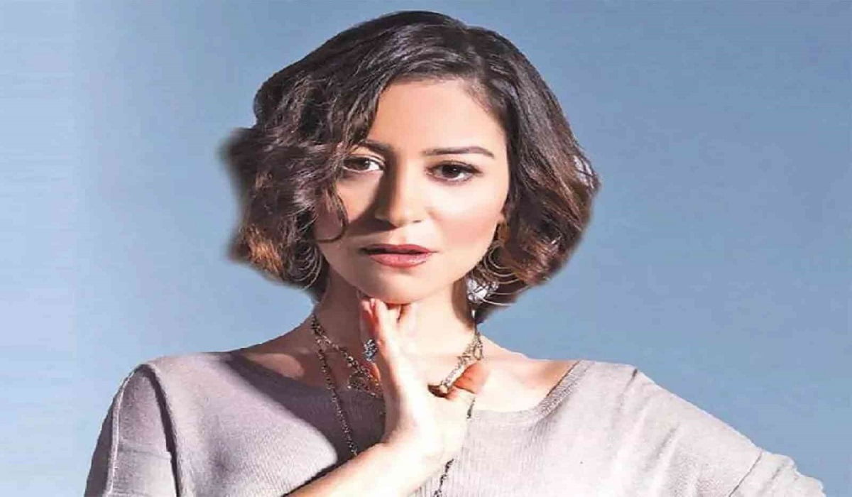 من هو زوج منة شلبي السيرة الذاتية