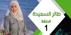 رابط مسابقة برنامج طائر السعيدة 2023