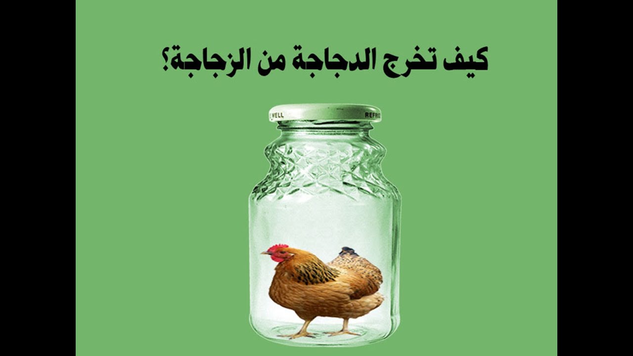 كيف تخرج الدجاجة من الزجاجة ؟