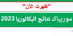 رابط نتائج البكالوريا في موريتانيا 2023 عبر موقع موريباك bac mauribac mauritanie