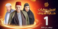 قصة مسلسل حارة شوف ويكيبيديا